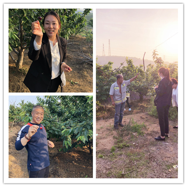 冰球突破-冰球电游豪华版_MG冰球游戏