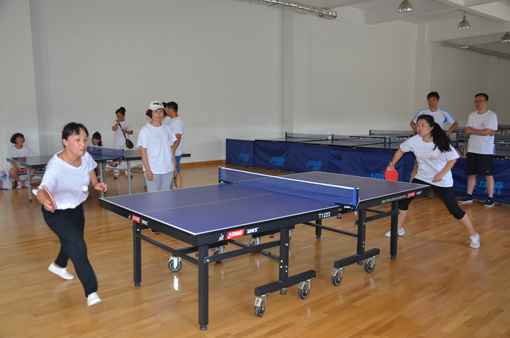 冰球突破-冰球电游豪华版_MG冰球游戏