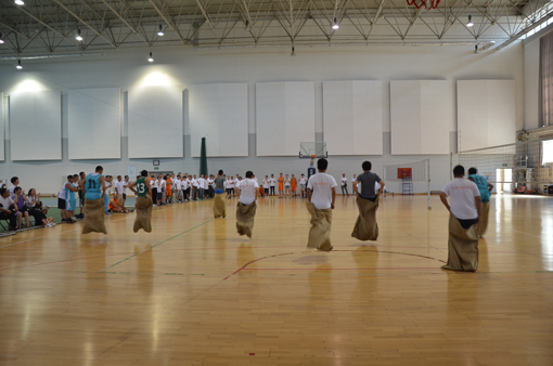 冰球突破-冰球电游豪华版_MG冰球游戏