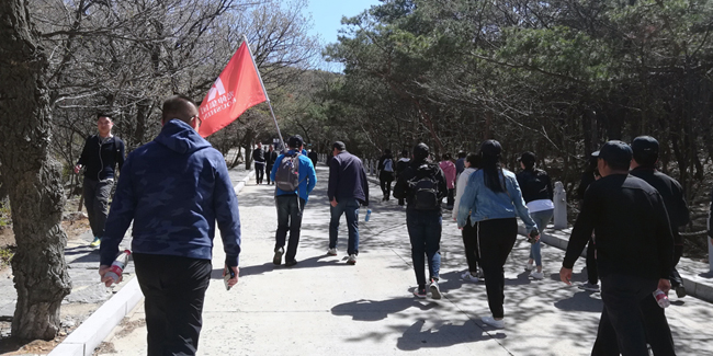 冰球突破-冰球电游豪华版_MG冰球游戏