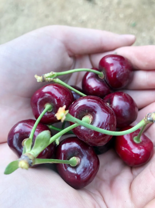 冰球突破-冰球电游豪华版_MG冰球游戏